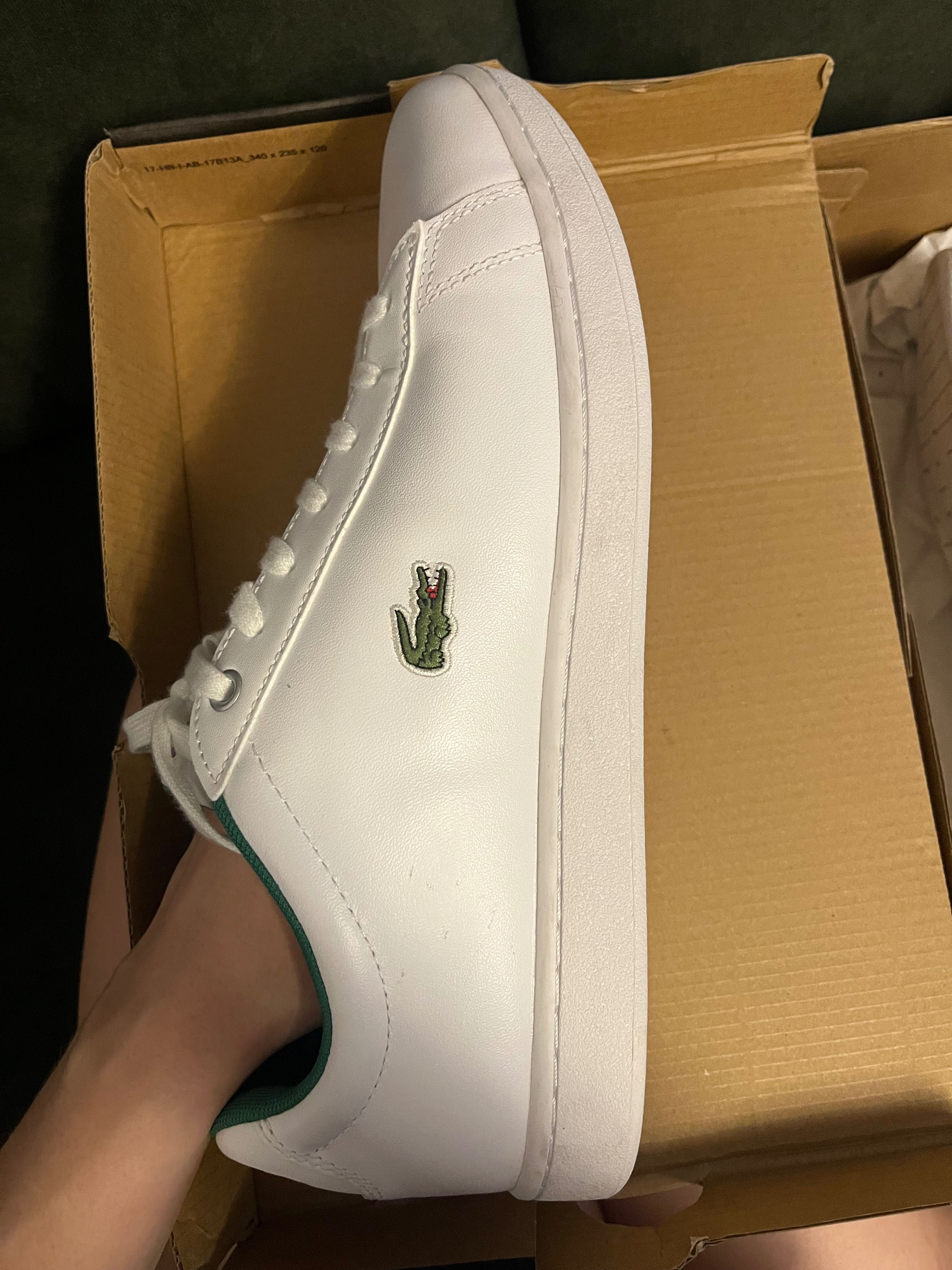 Klasyczne męskie Lacoste