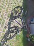 Rower pelikan 26