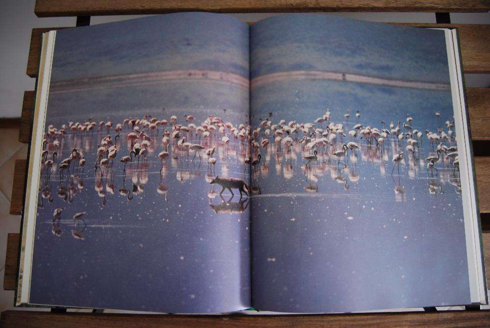Vida Selvagem - Animais da Savana - Selecções do Reader's Digest