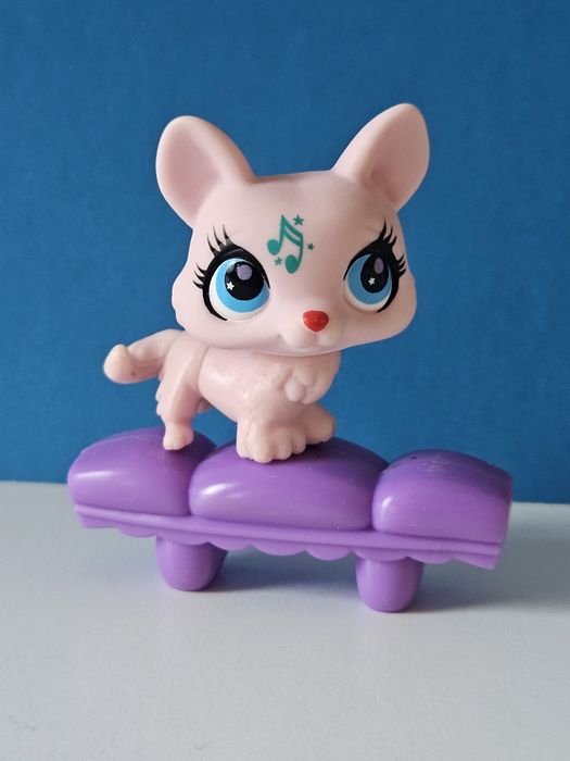 Corgi z niebieskimi oczami na sofie