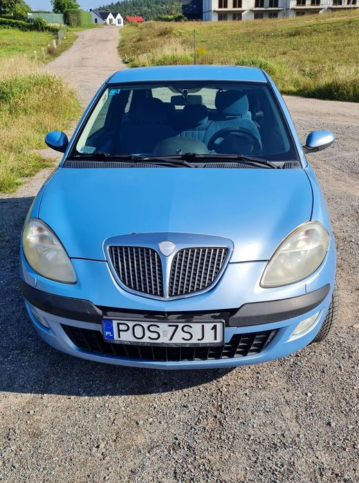 Lancia Ypsilon Lancia Ypsilon 1.4 Argento