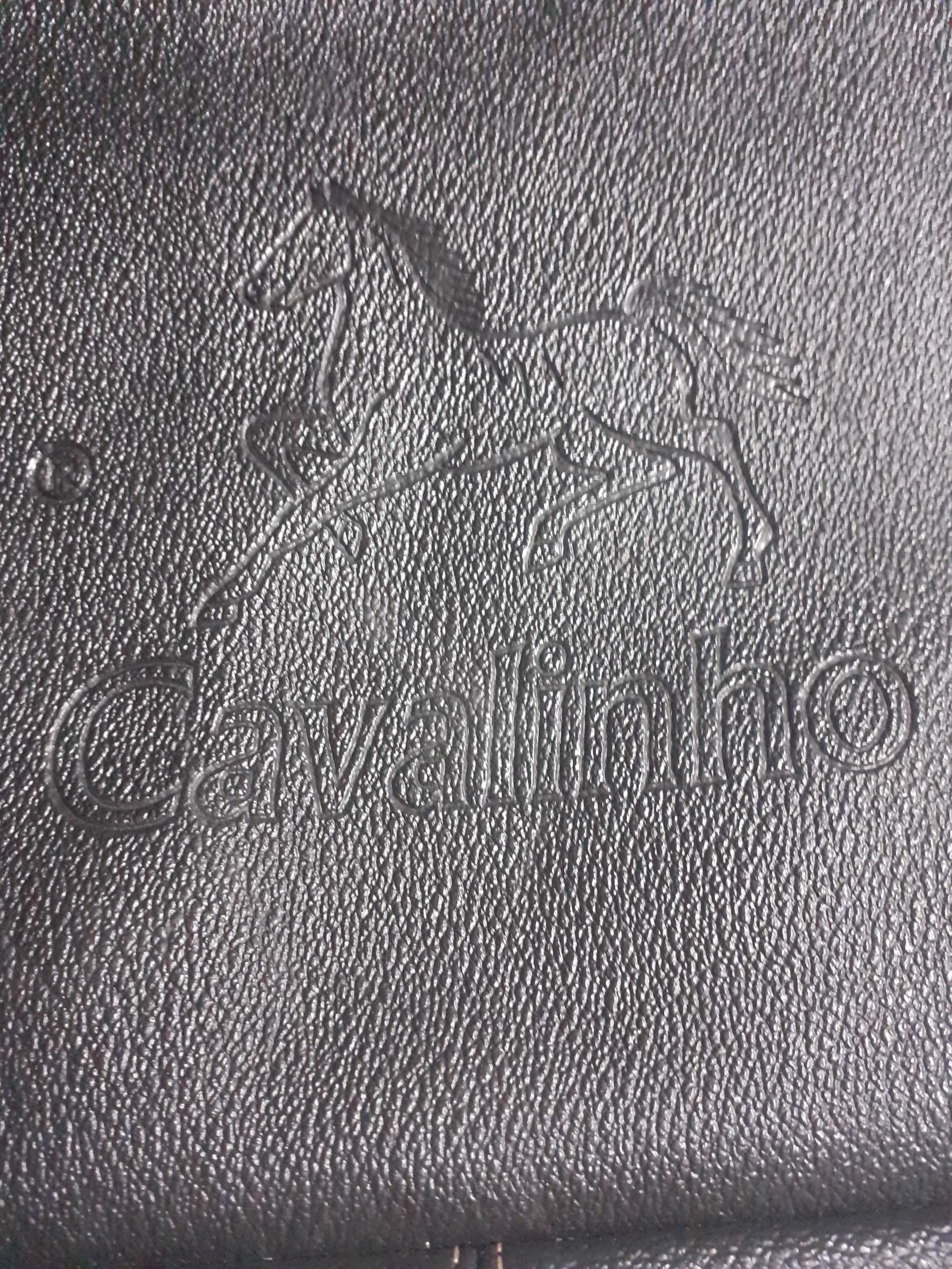 Pasta CAVALINHO como nova