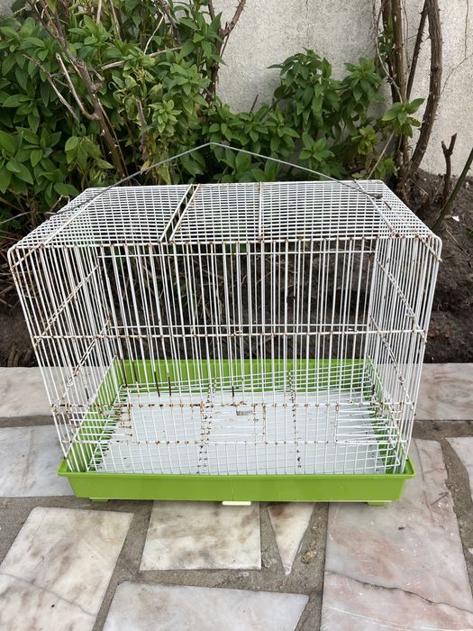 Gaiola ideal para criação