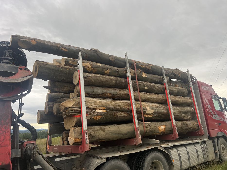 Drewno bukowe - opałowe