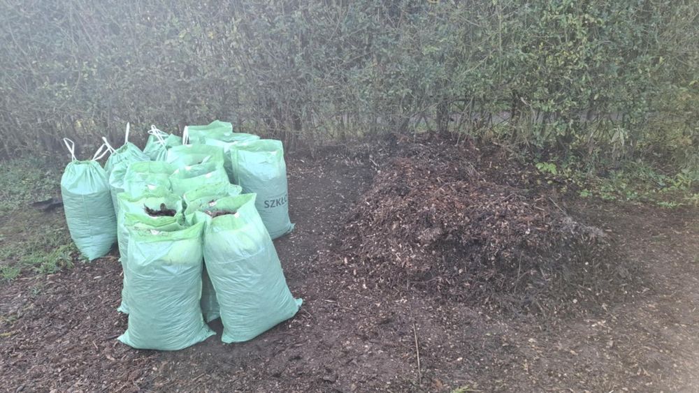 Zrebki iglaste po uzyciu rozdrabniacza