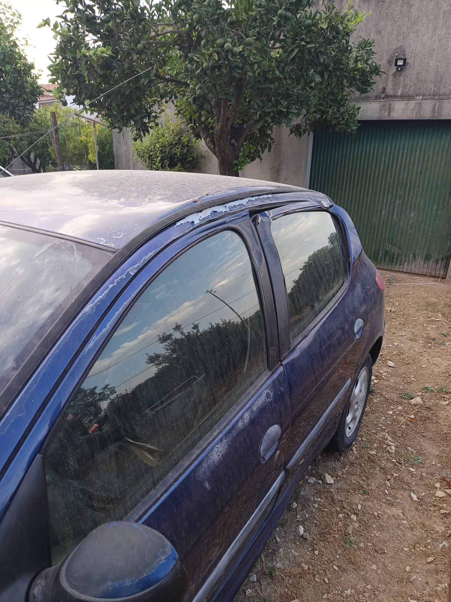 Peugeot 206 1.9 d