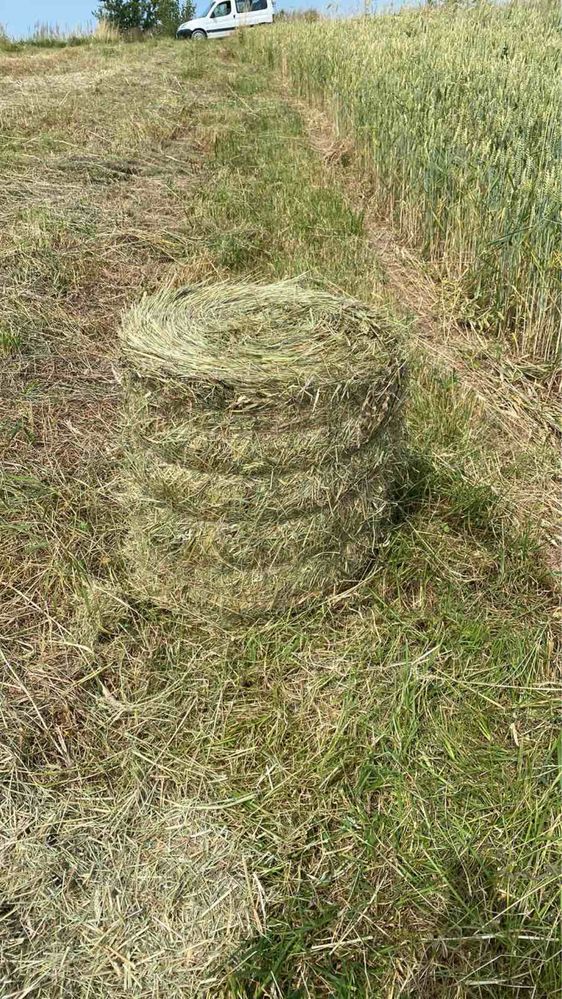 Продам тюки сіна