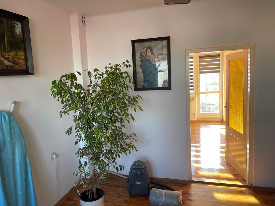 Pokój blisko akademii