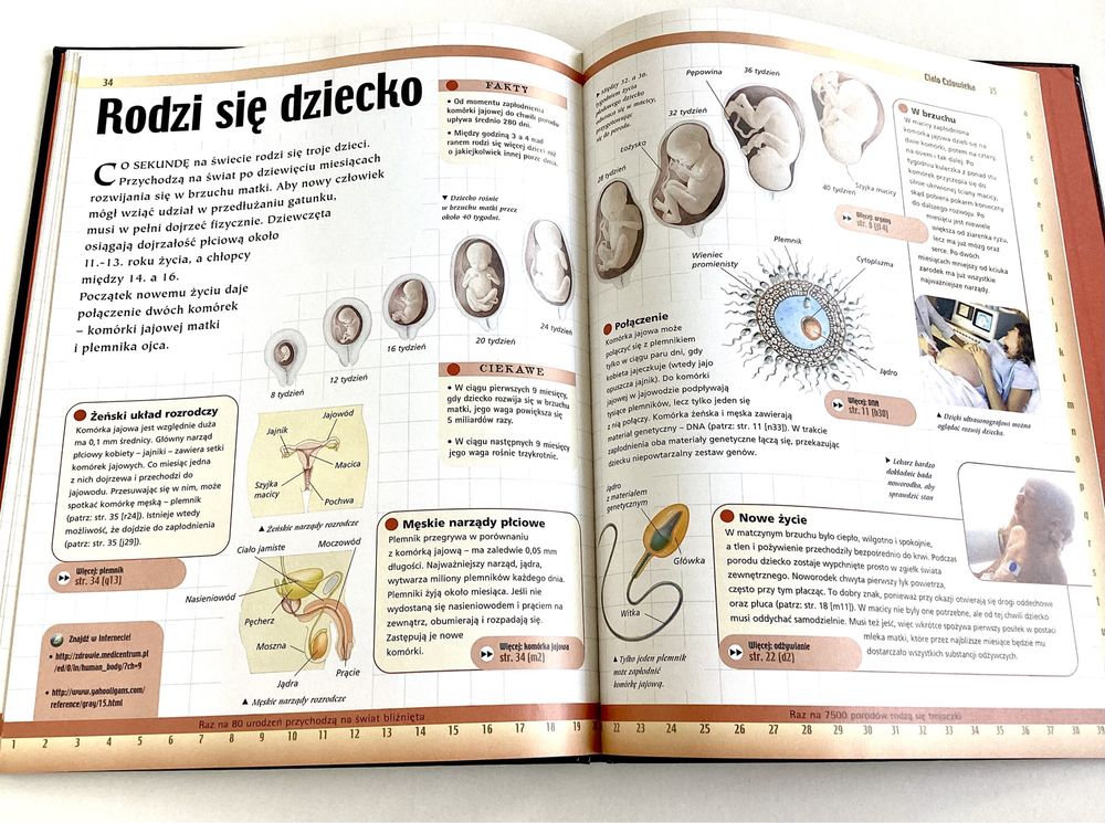 Encyklopedia młodego odkrywcy Ciało człowieka Discovery Channel