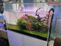 Aquario, filtros e luzes