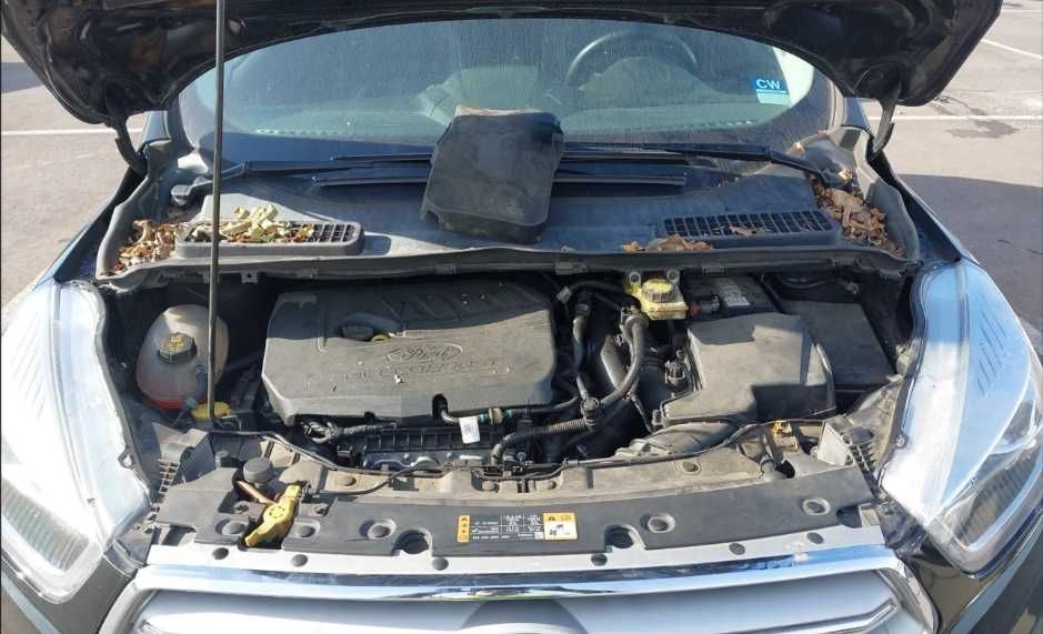 2018 Ford Escape, Sel