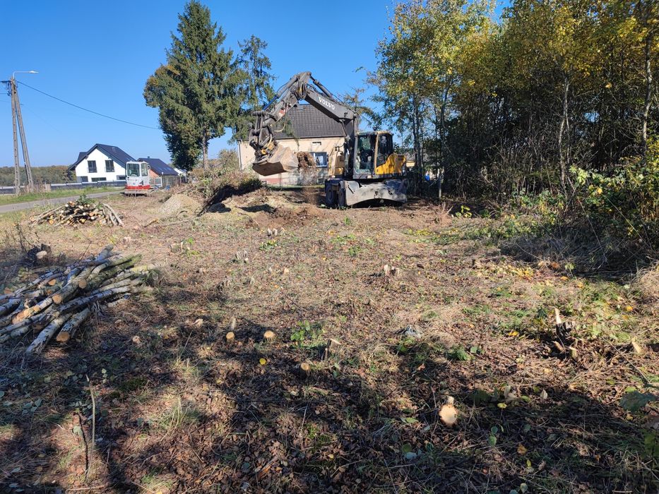 Wycinka drzew wywóz korzeni gałezi czyszczenie działek