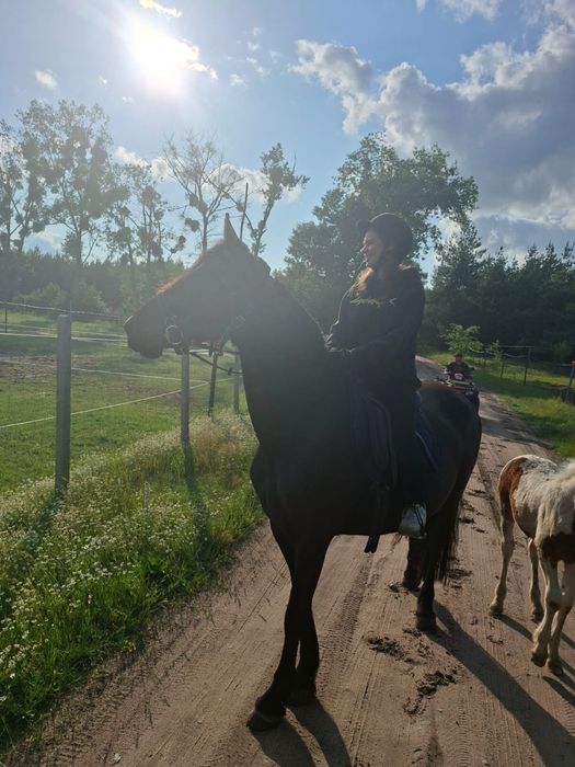 Sprzedam klacz z źrebakiem