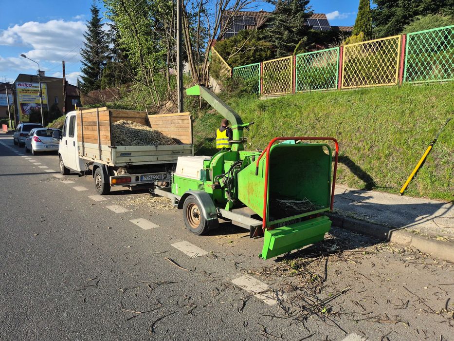 Wycinka Drzew I Pielęgnacja Zieleni I Usługi Rębakiem I Frezowanie Pni