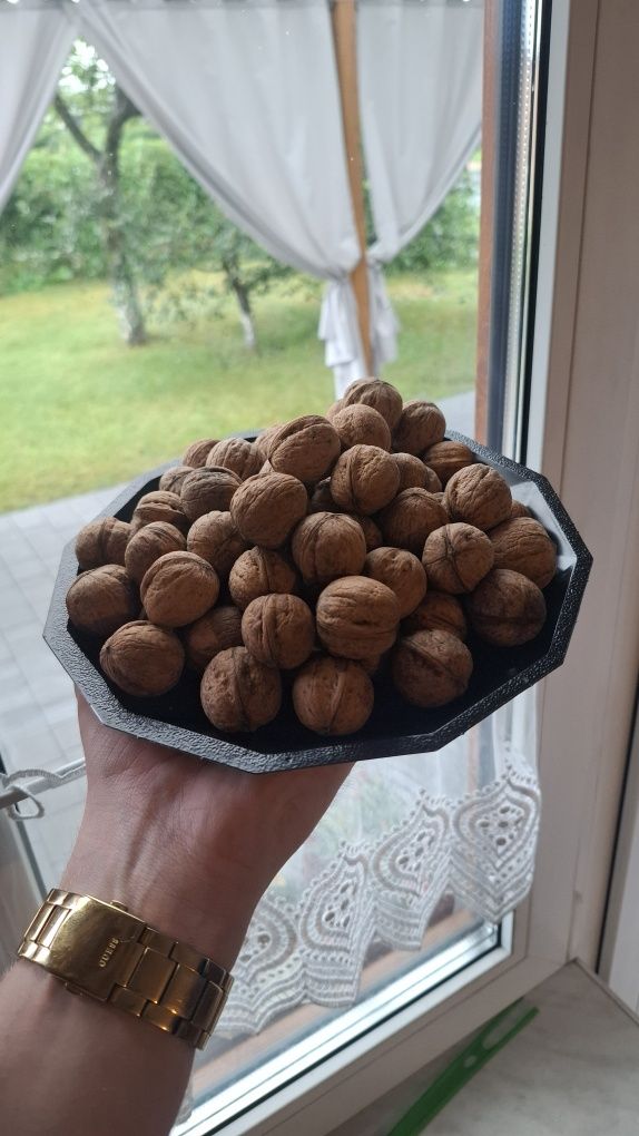 Orzechy włoskie - 8 zł kilo