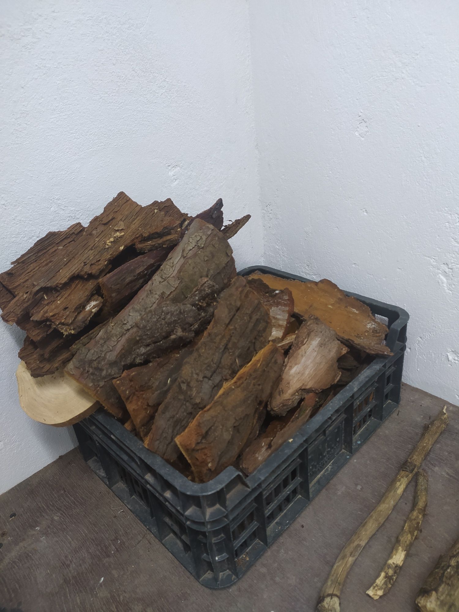 Kora i inne ozdoby do Terarium