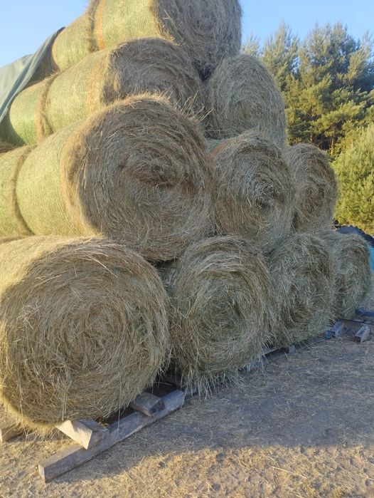 Sprzedam Bale siana