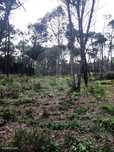 Terreno  para venda
