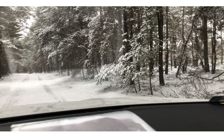 Leśna działka rekreacyjna Biała Góra, starorzecze Pilicy 3000m2