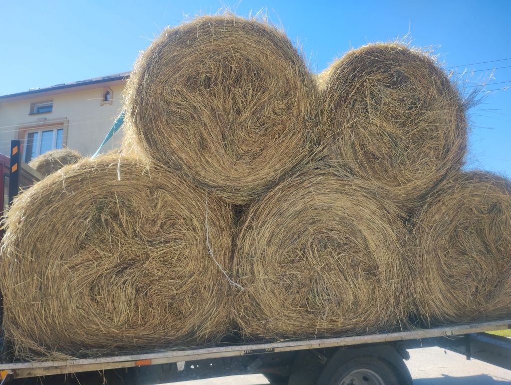 Sprzedam siano w belach