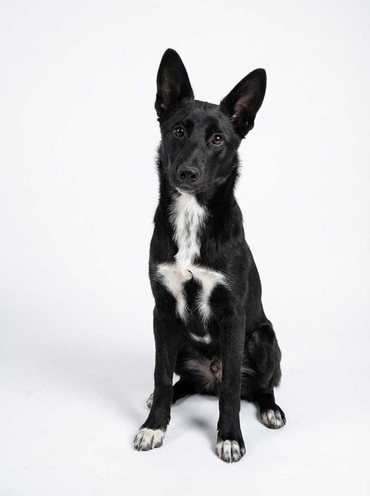 Грайливий хлопчик в добрі руки