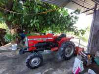 Tractor Massey Ferguson 1030 - 30 CV
