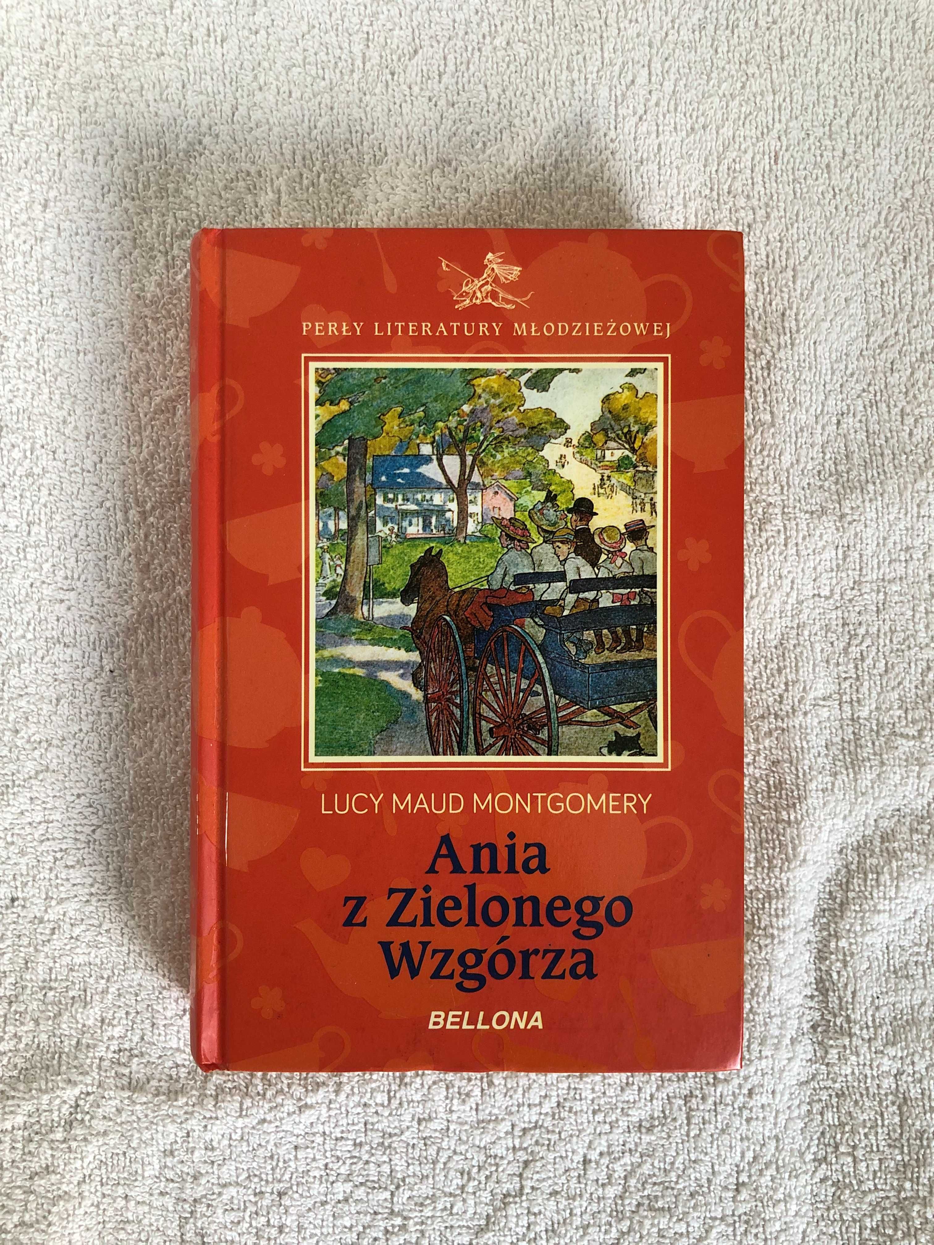 Zestaw Ania z Zielonego Wzgórza