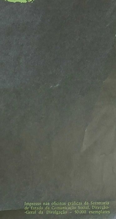 Poster cartaz constituição 1976