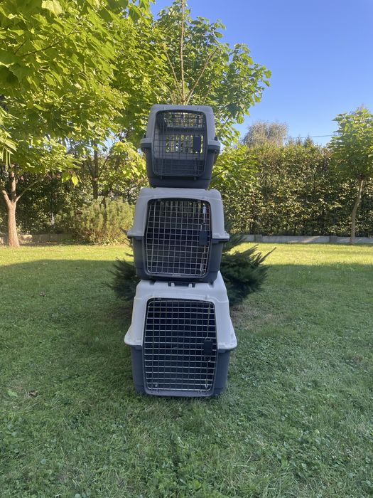 Transporter dla psa  – solidne, 3 sztuki