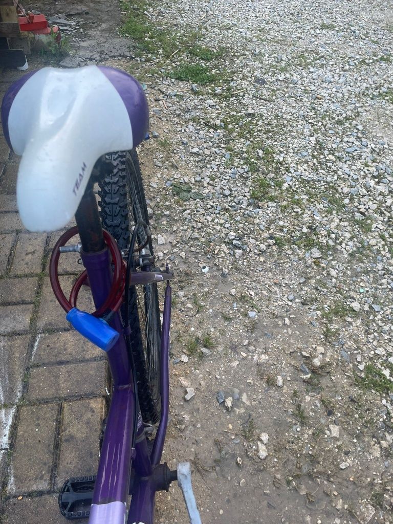 Vendo Bicicleta TEAM