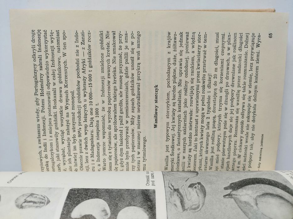 Gdy zakwitną jabłonie - Szczepan Pieniążek