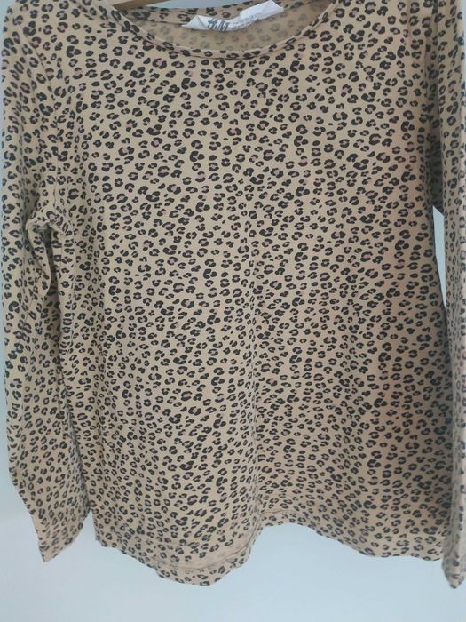 Bluzka H&m 110/116 cm 5-6 lat panterka długi rękaw