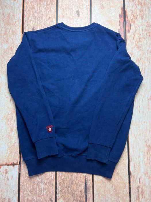 Bluza Wellensteyn męska