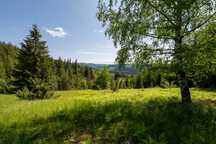 Земельна ділянка с. Микуличин 129 соток