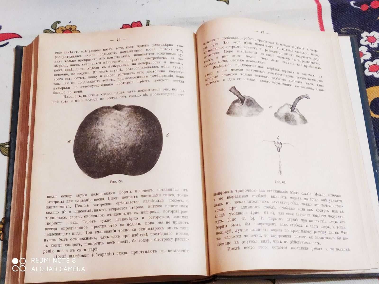 Журналы Плодоводство, 1902 с Помологией