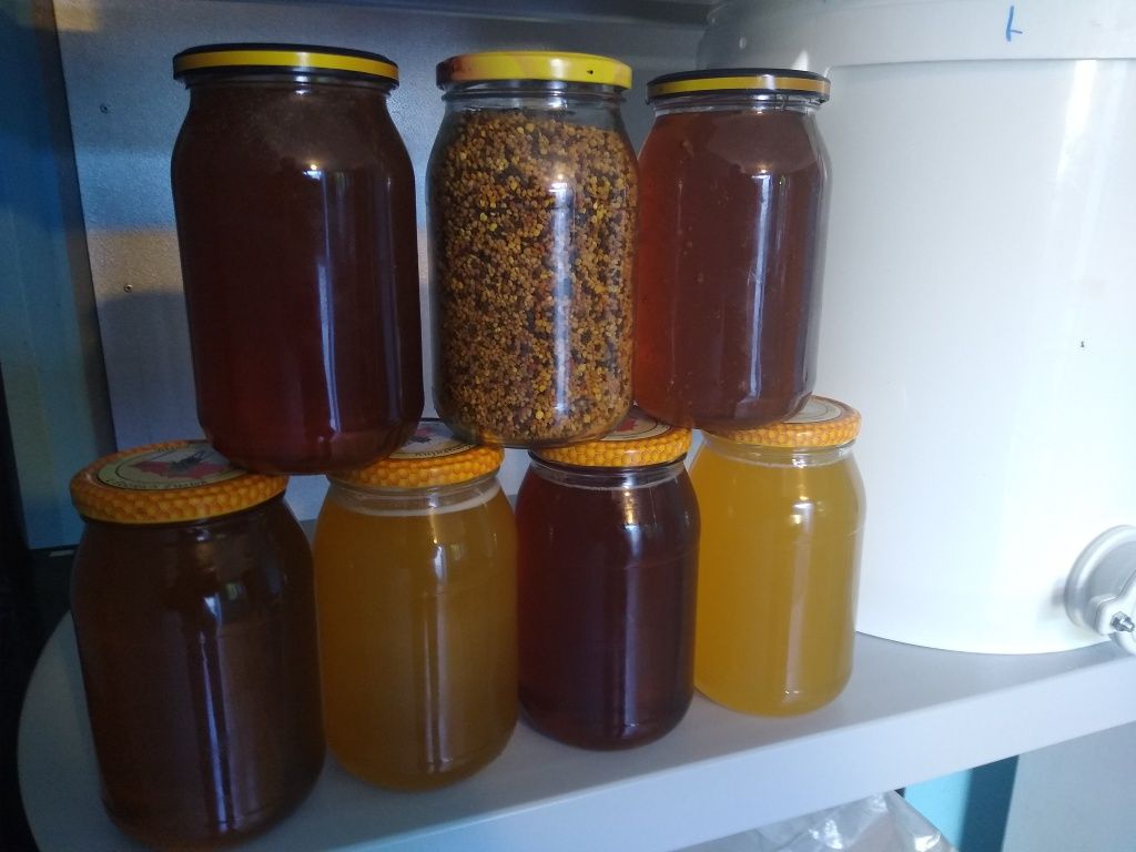 miód wielokwiatowy Leśny Gryka Akacja Lipa ! miód z własnej pasieki