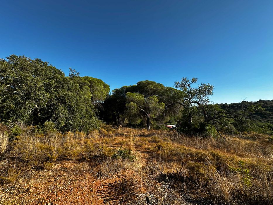 Terreno Rustico em Boliqueime, Ribeiro