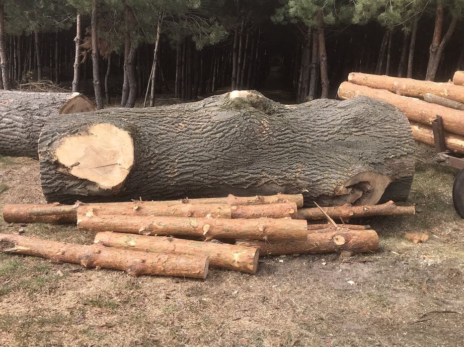 Слеби з ясена шириною метер +