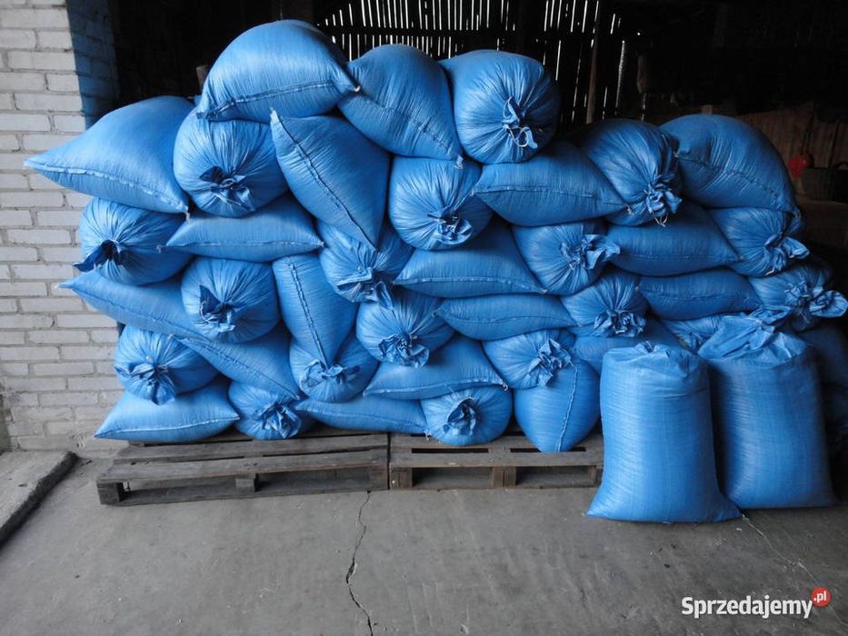 Pszenica workowana po 25 kg możliwość transportu