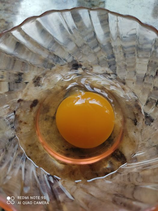 Ovos Caseiros galinhas saudáveis