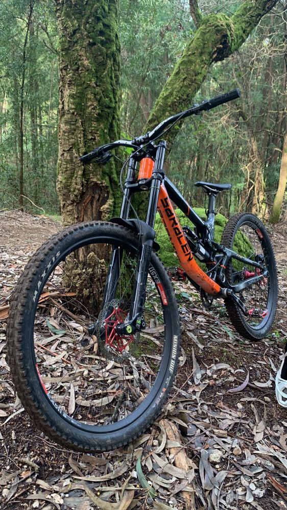 SARACEN MYST CARBON 29