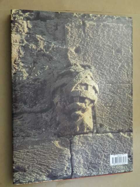 A Aventura Portuguesa de Augusto Pereira Brandão