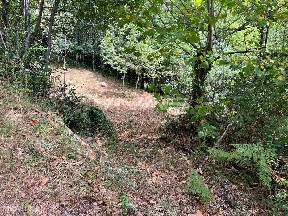 Terreno Rústico  Venda em Bouro (Santa Marta),Amares
