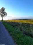 Działki budowlane od 984 do 1001m2