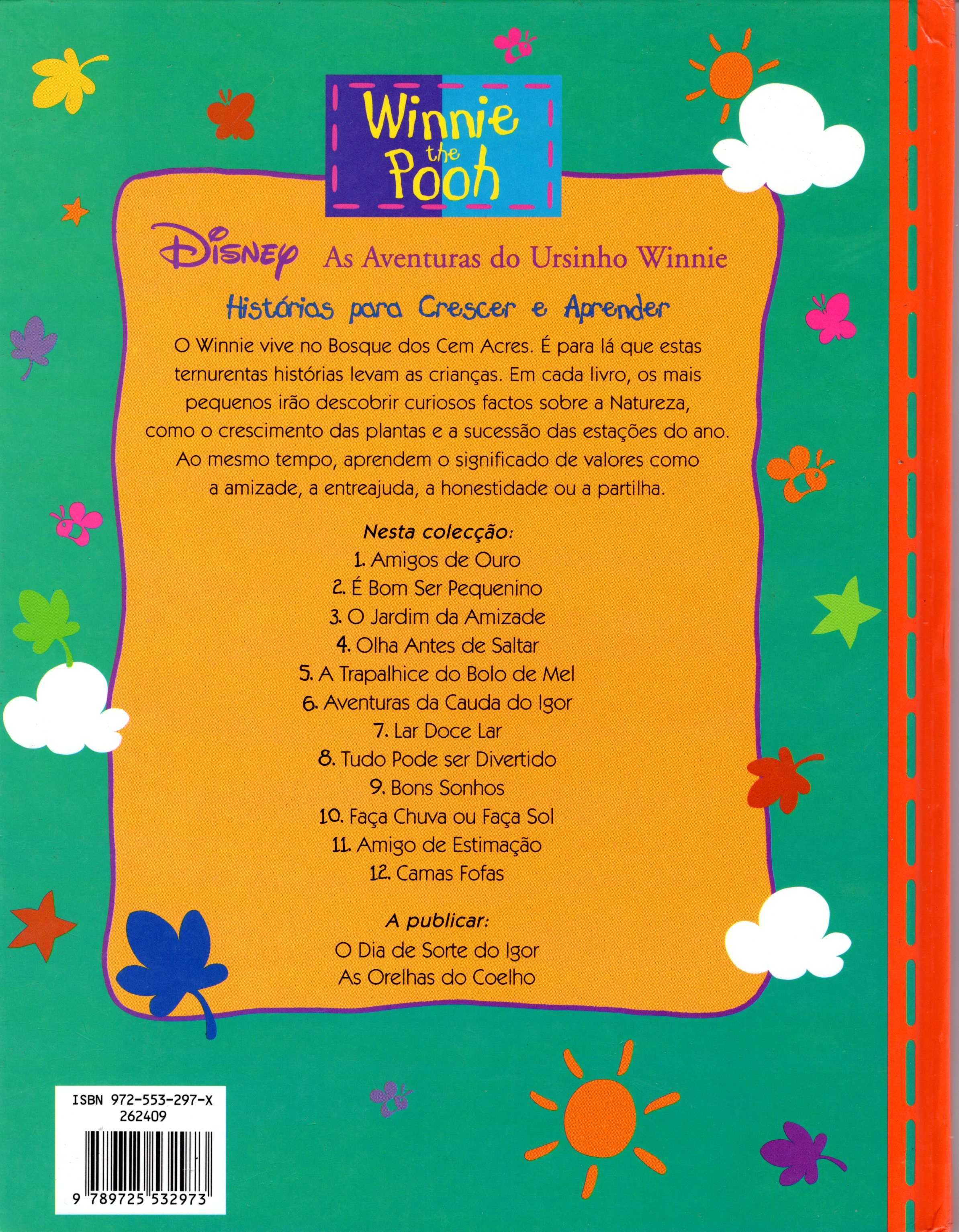 Winnie the Pooh - ons Sonhos