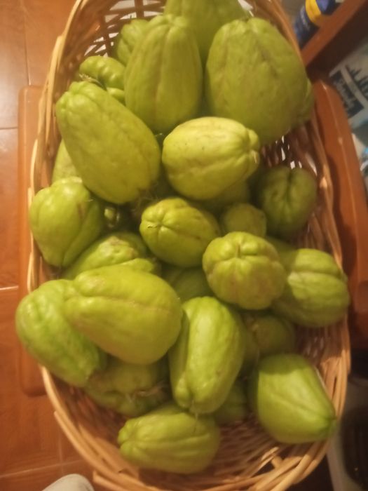 Chuchus Frescos, Saborosos e 100% Naturais!