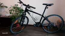 Rower Giant czarny rama S