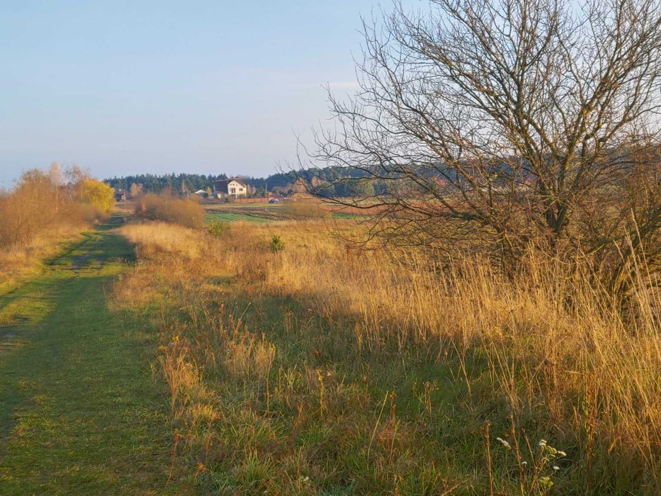 ДІЛЯНКА від ОЛЕКСАНДРА! Забороль під забудову 73 сот. Хороший доїзд