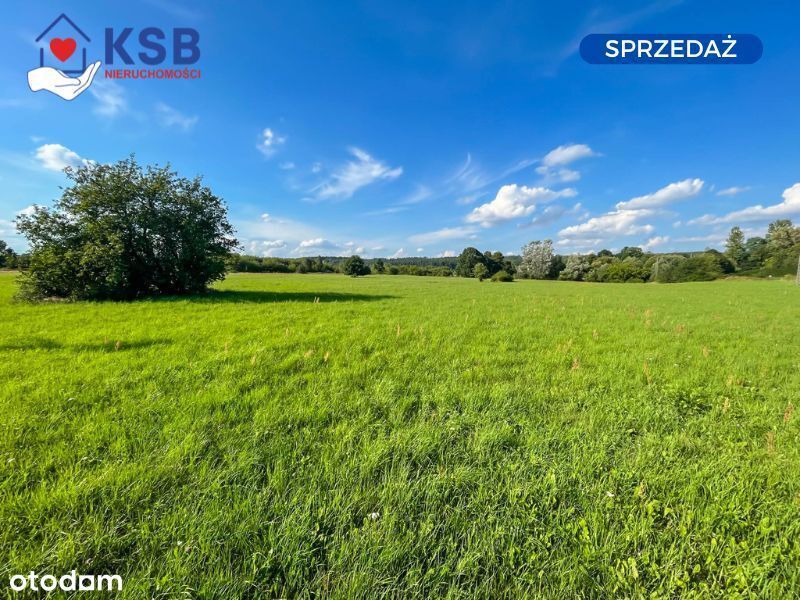 Działka budowalna z WZ - 1,05ha - Michałów