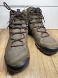 Черевики Mammut Sapuen GTX